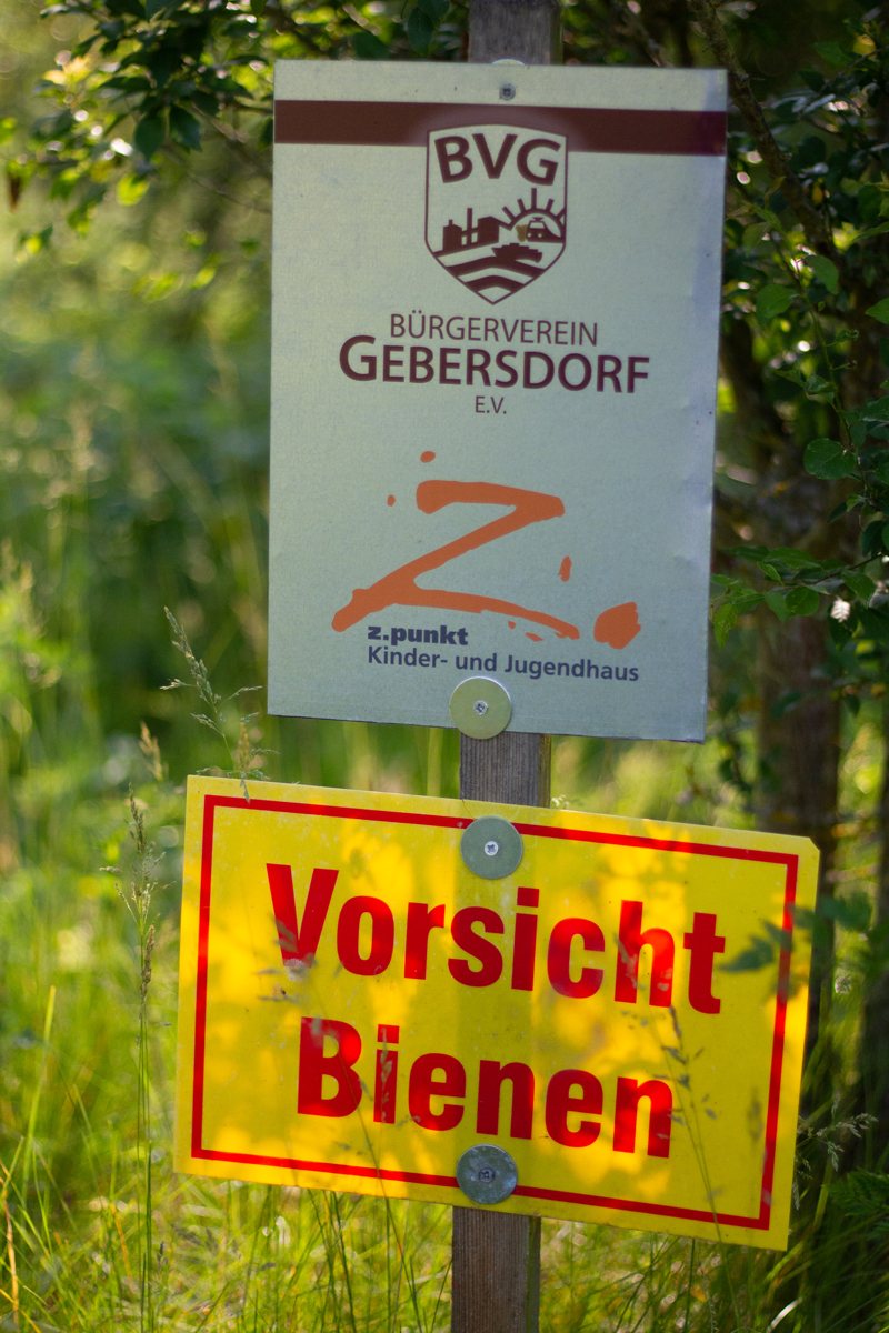 Bienenvölker in Gebersdorf